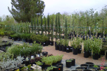 Nursery Goods: Accessories For Managing An Analysis On The Increase Of Plants and Bushes