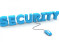 Overview Of The BlueCoat Company For The Enterprise Security